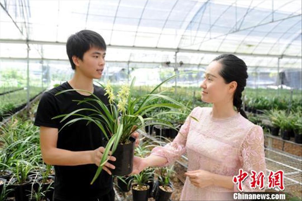 返鄉創業開“網店”的劉順理（左）向當地政府工作人員介紹蘭花銷售情況。　張金川　攝