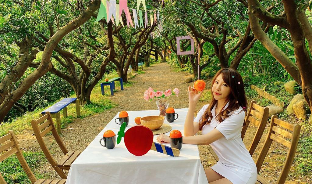 網紅林珮瑩在臉書粉絲頁曬出苗栗新景點，粉絲驚艷紛紛點讚位於頭屋的〝橙香森林〞