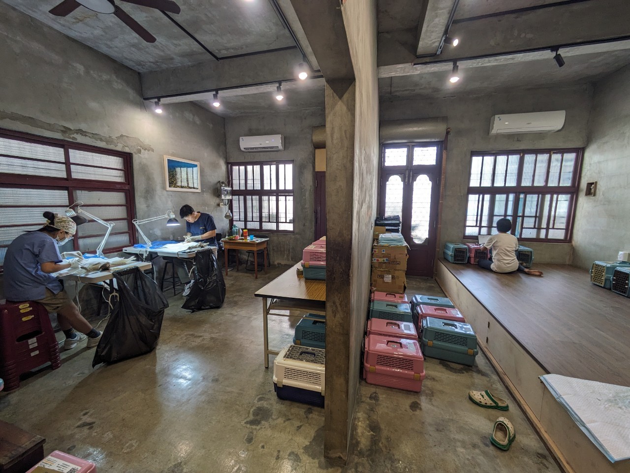 自己的島自己救！ 小琉球居民組織志工隊為浪貓絕育– 地方– 臺灣人民報